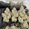 S-ex Sativa Exotics