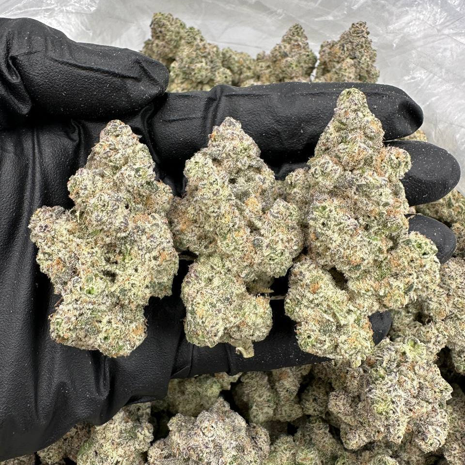 S-ex Sativa Exotics